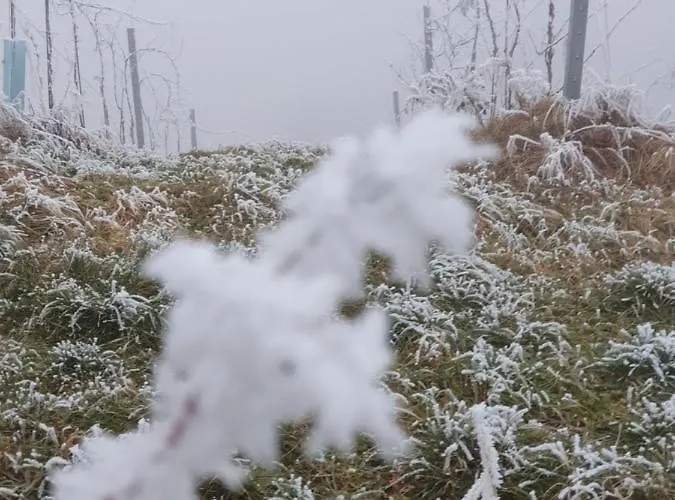 فندق مبيت وإفطار Carla إيهرينهاوزين